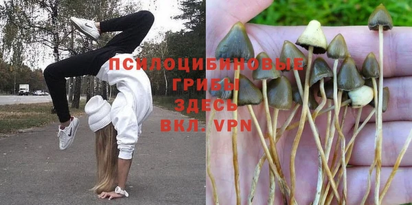 твердый Абдулино